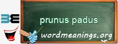 WordMeaning blackboard for prunus padus